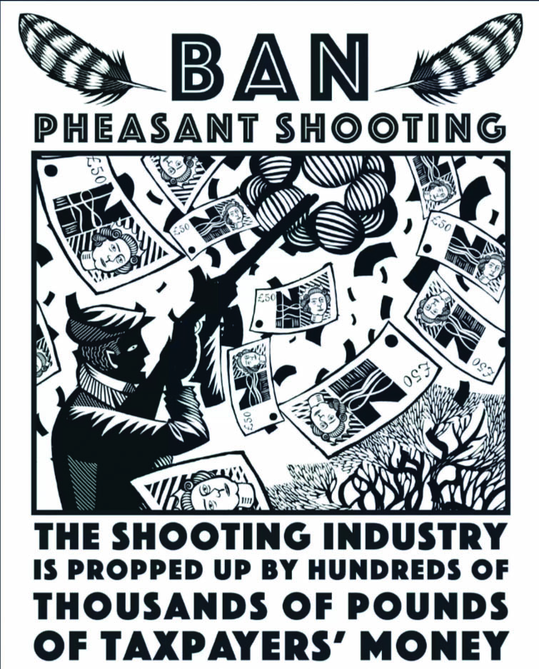 Big Issue calls for shoot ban