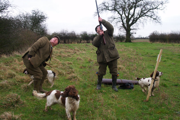 Spaniels out in the field 