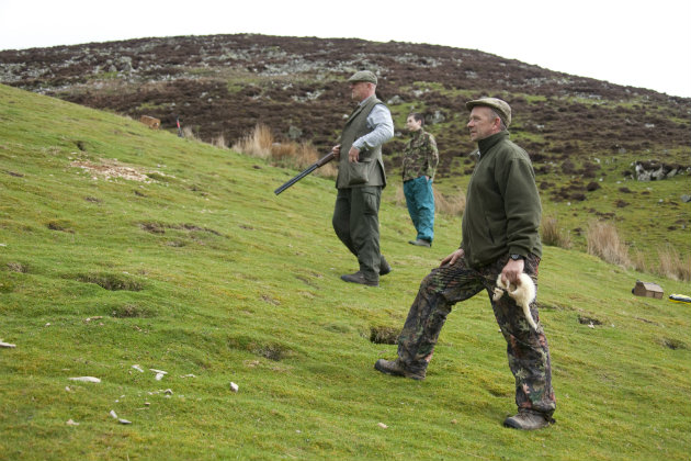Ferreting and shooting 