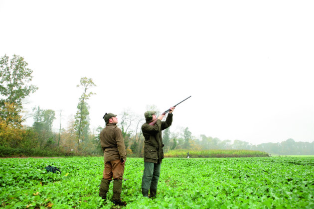 Young guns in field 