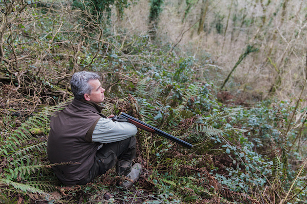 roost shooting