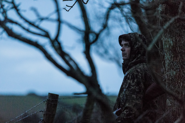 roost shooting