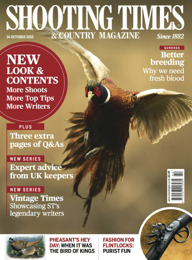Welcome to the new look Shooting Times