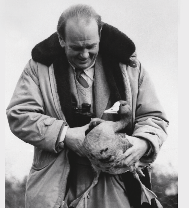 Father of the conservation movement