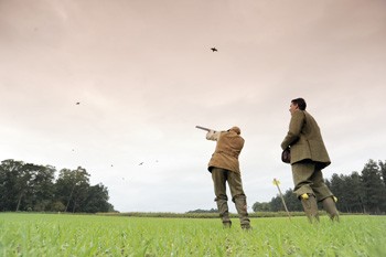 Game shooting at Stowlangtoft, Suffolk