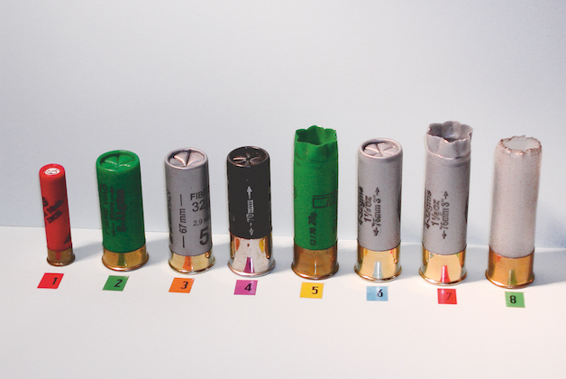 best loads for high pheasants 