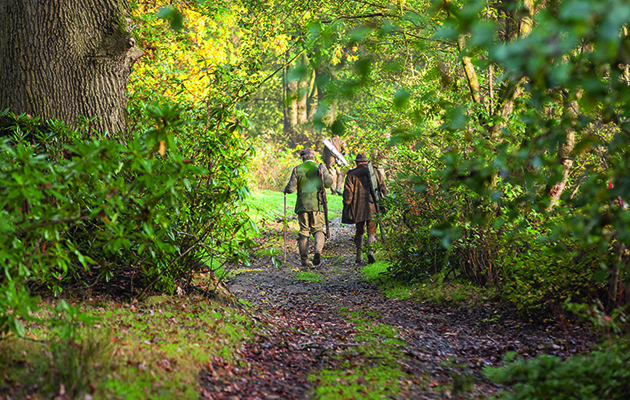 Essential questions you should be asking about your sporting rights