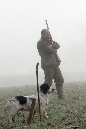 Why is my gundog squeaking?