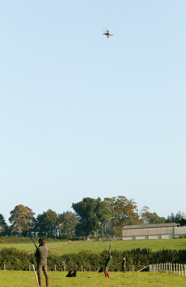 A day with St Giles Estate Shoot