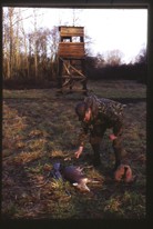 How can I encourage more roe deer?