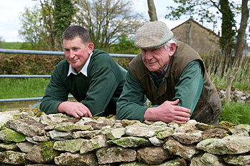 Drystone walling Gallery: Walls of Wonder