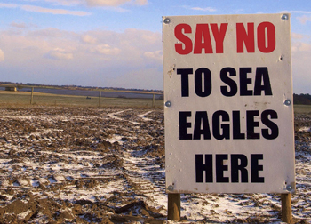 Shooting community protests against eagle reintroduction