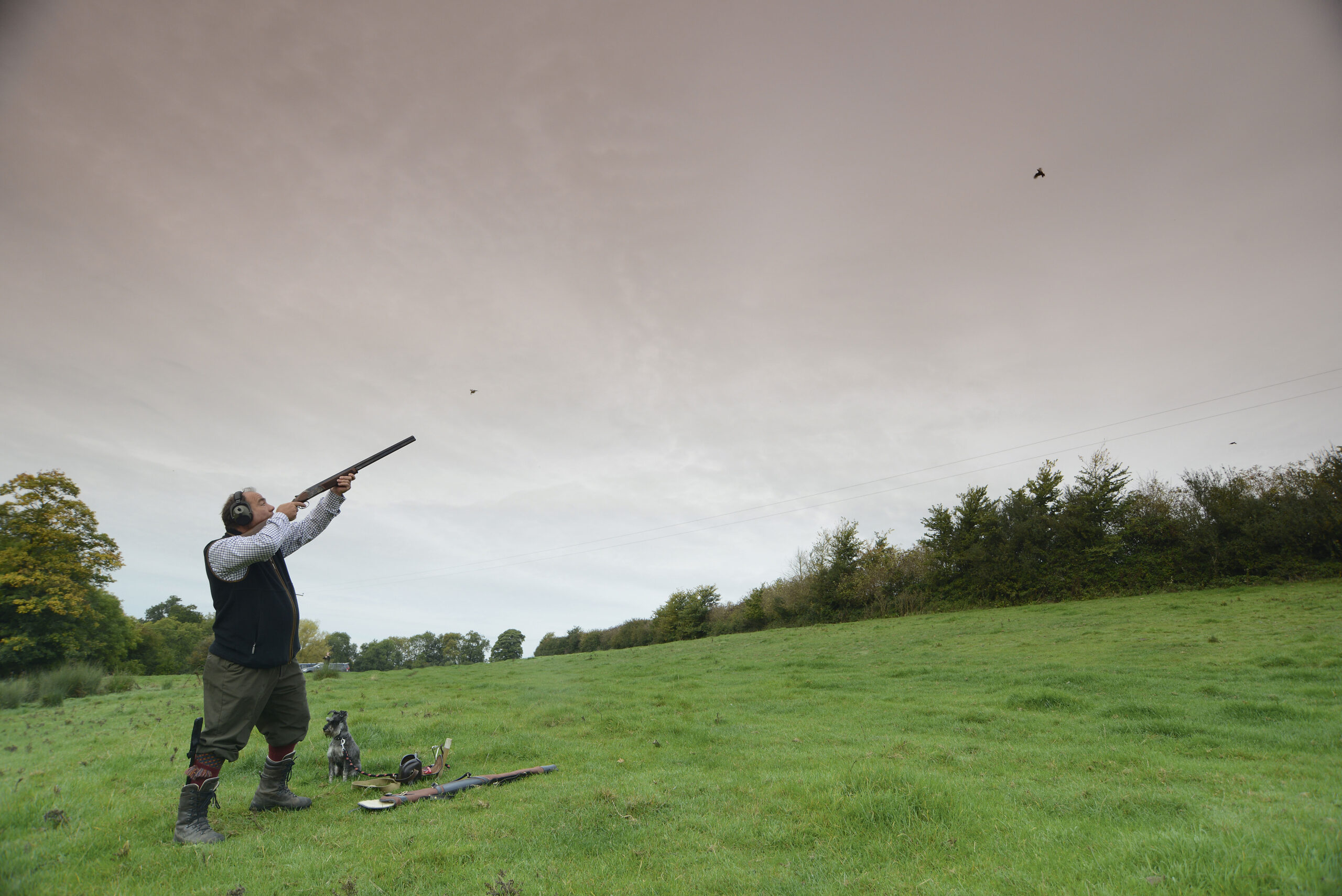 Fosseway Game: Partridge shooting at Sutton shoot, Warks