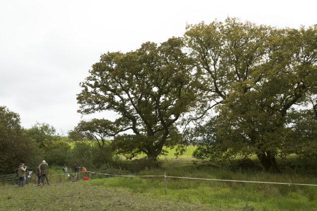 Clayshooting lesson on long, slow crossers