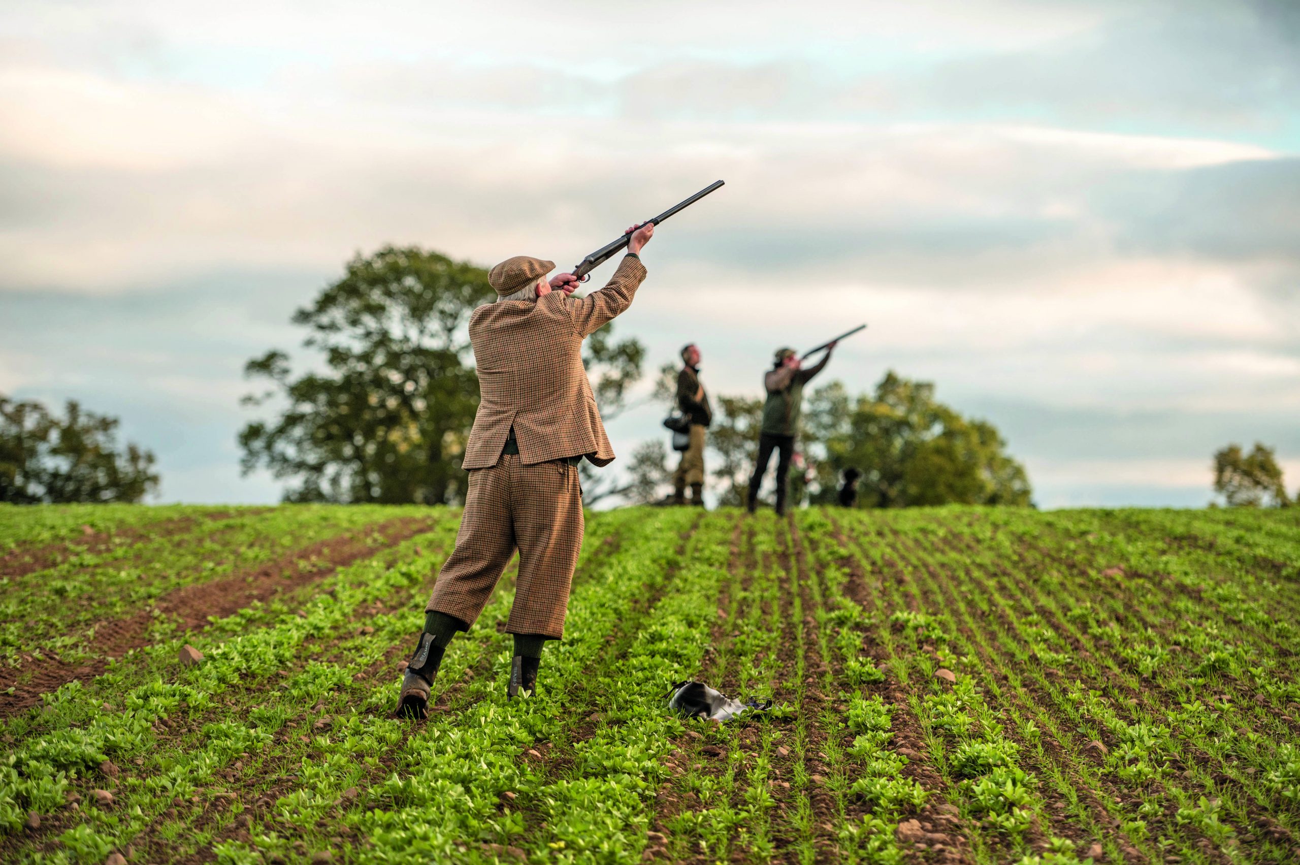 Is the future looking up for England’s grey partridges?