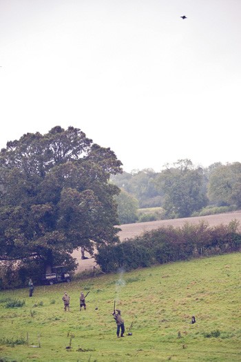 Game shooting at Tarrant, Dorset