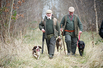 Shoots help as dieback spreads