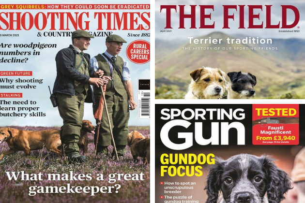 More to look forward to in Shooting Times, Sporting Gun and The Field