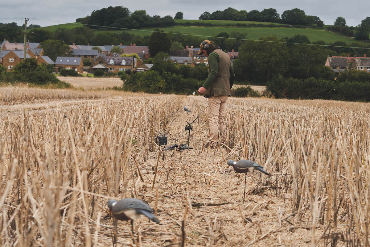 setting out decoys