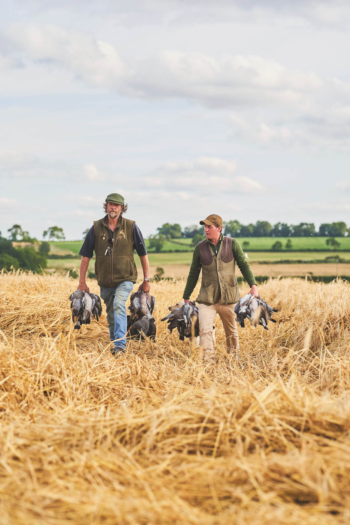 pigeon guides 