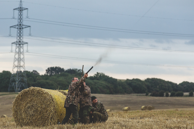 Goose shooting season &#8211; hopes high for a successful year
