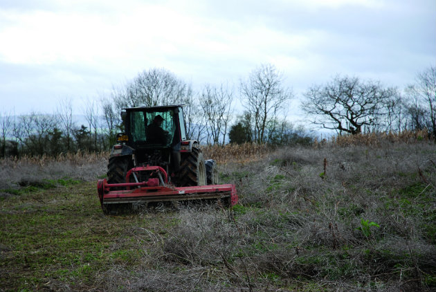 tractor