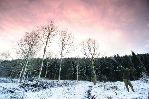 best pheasant shoots 