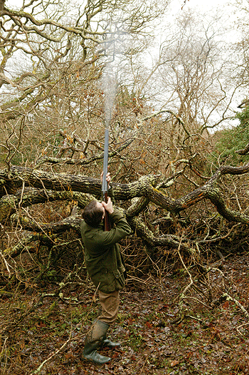 Trelowarren shoot