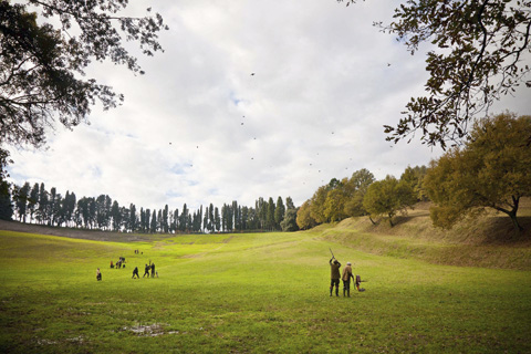 Pheasant shooting in Tuscany