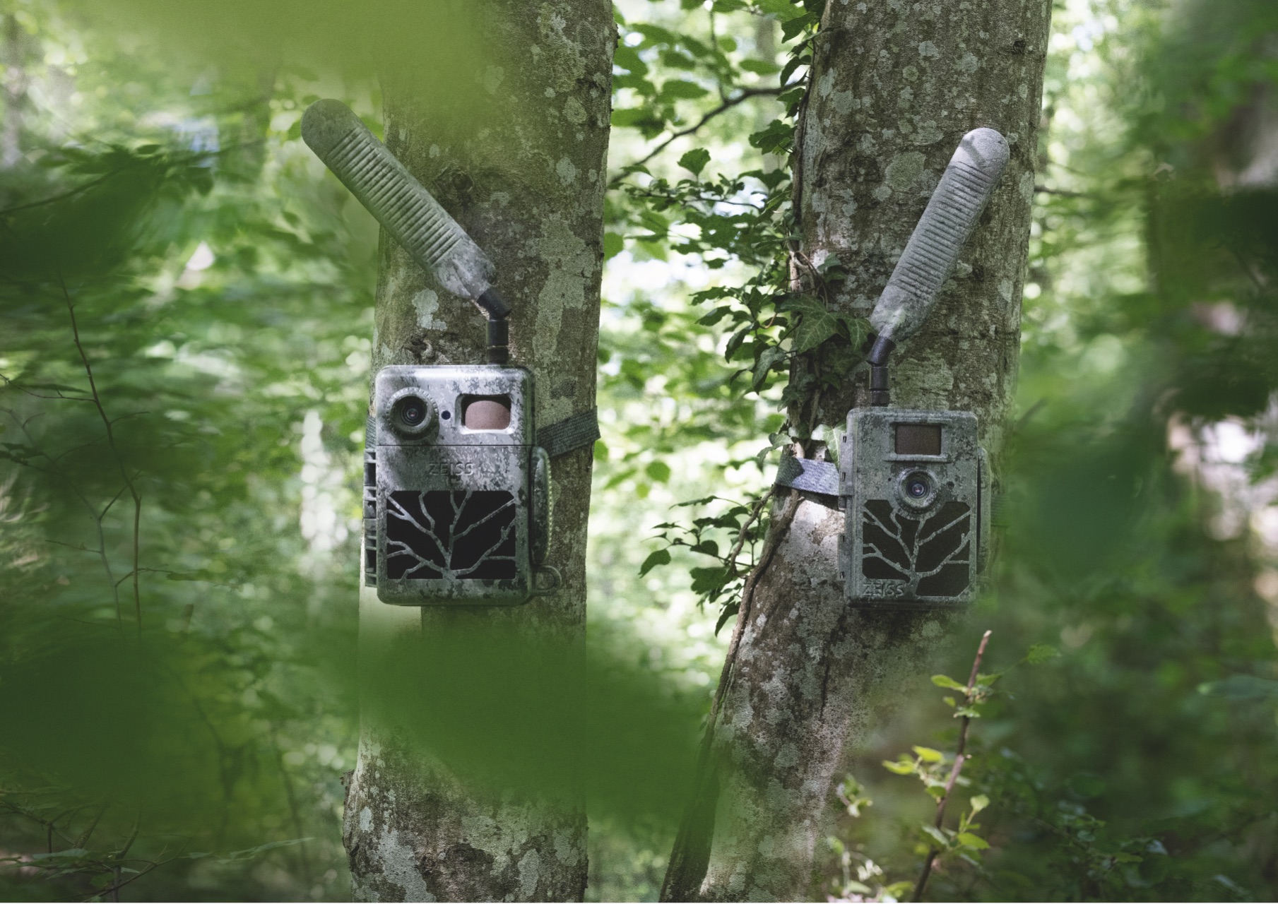 Into your hunting ground in just one click with the new ZEISS Trail Cameras