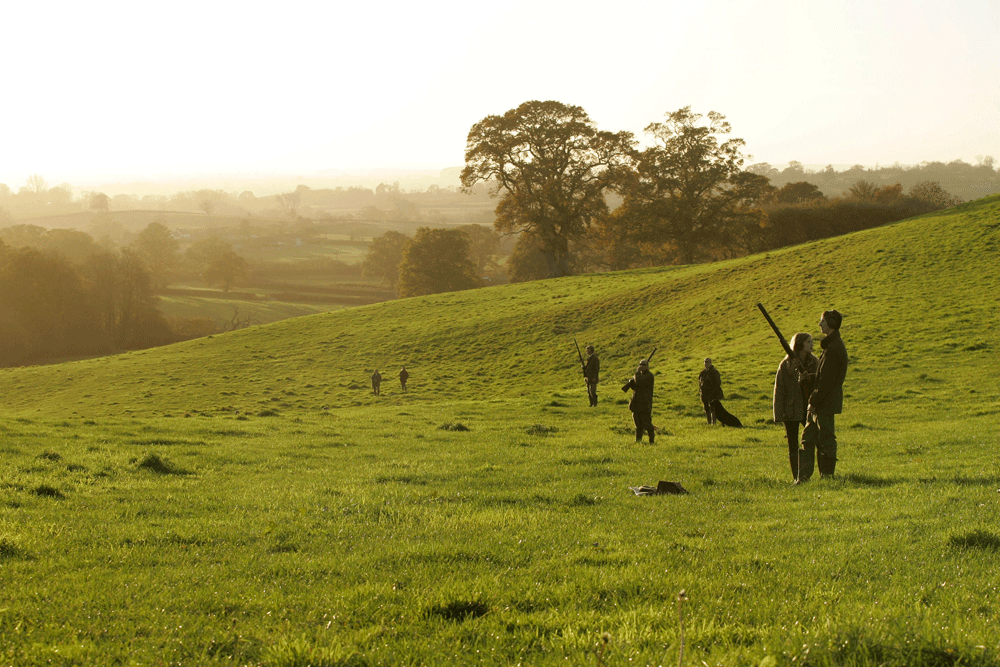 Shoot of the Week: Vale Farm Shoot