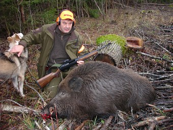 Crashing Boar