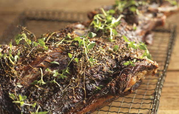 Venison shoulder