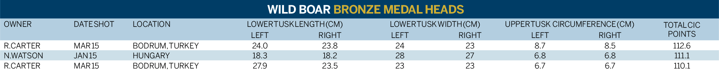 WILD BOAR-BRONZE