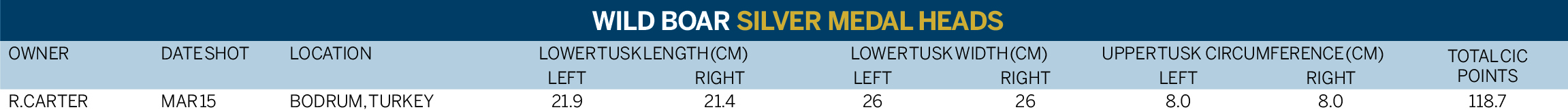 WILD BOAR-SILVER