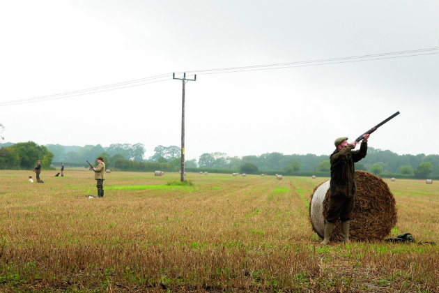 Partridge shooting at Wappenshall in Shropshire