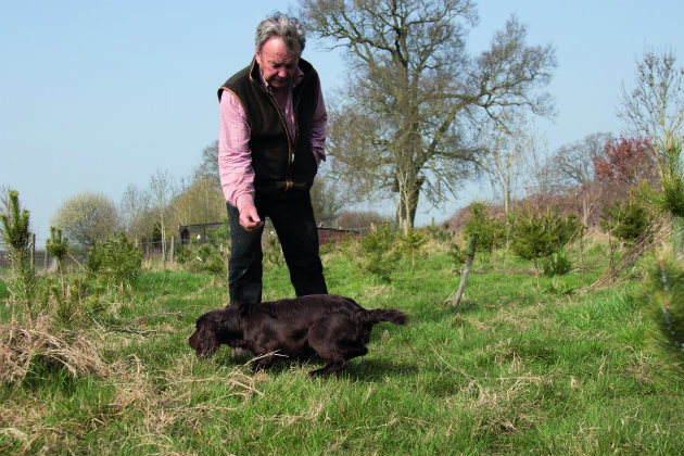 Trainer with gundog