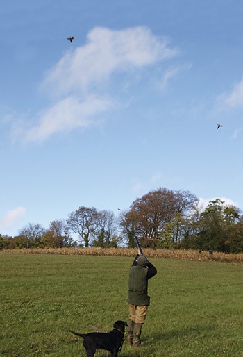 Shoot report &#8211; Well End Shoot