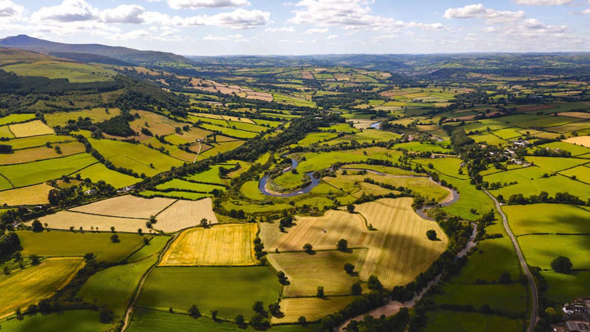 Defra asks England’s biggest landowners to come up with plans to restore nature