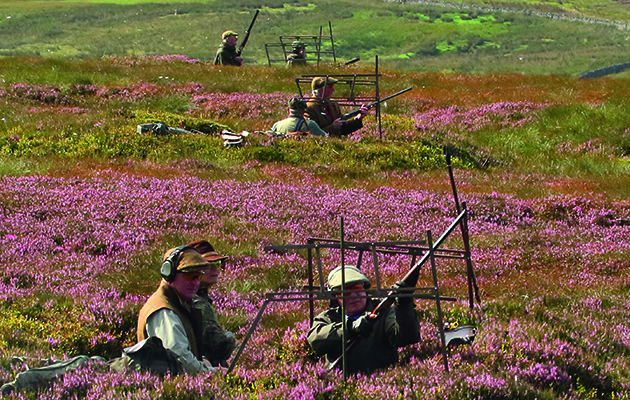Grouse shooting on Wemmergill moor