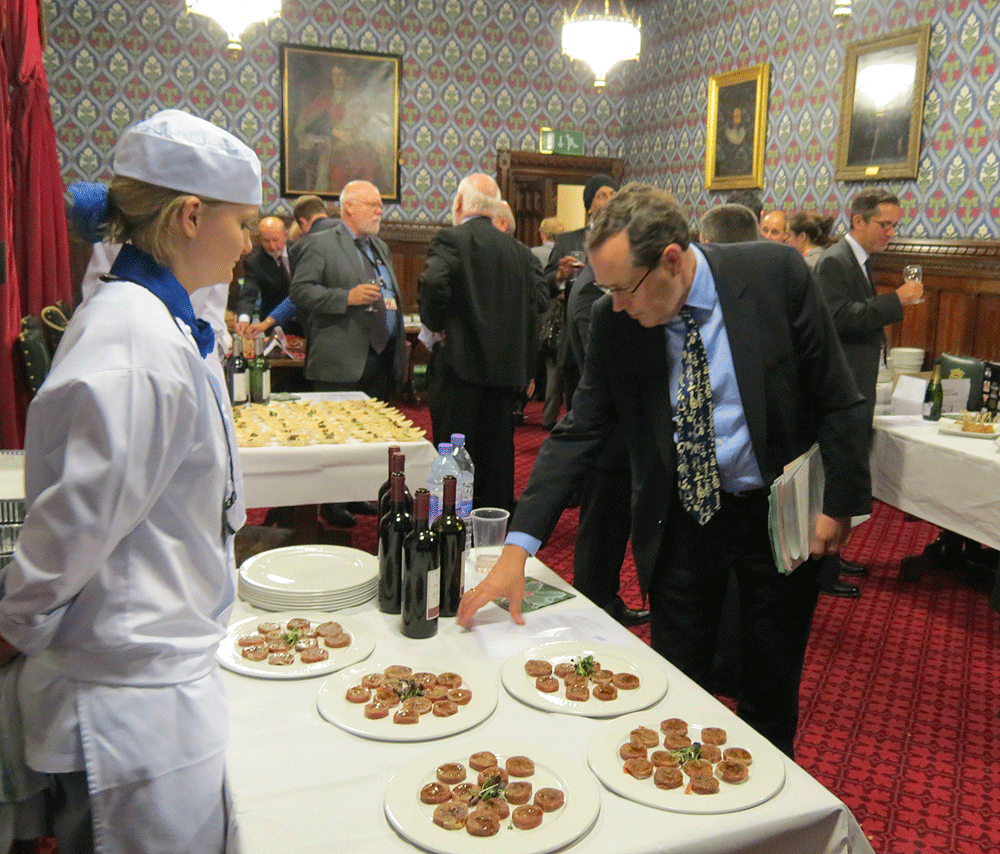 MPs treated to game at Westminster