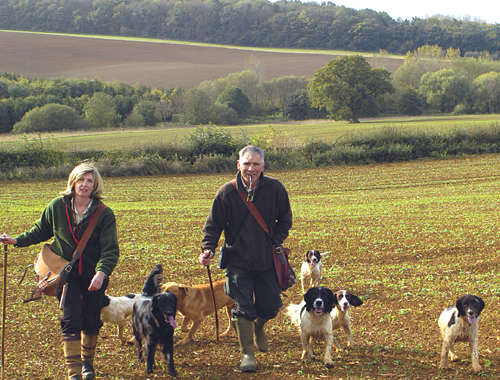 When gundog training how do you tell him off?