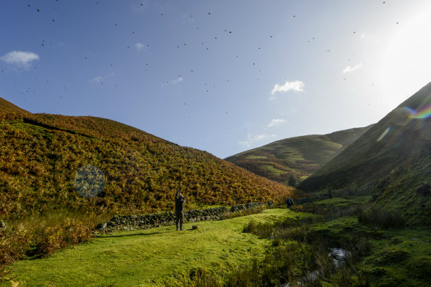 Partridge shooting lessons for the season ahead