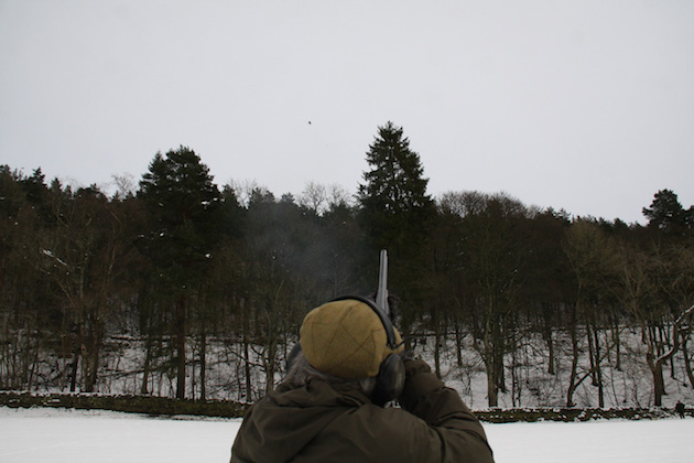 Whitfield shoot