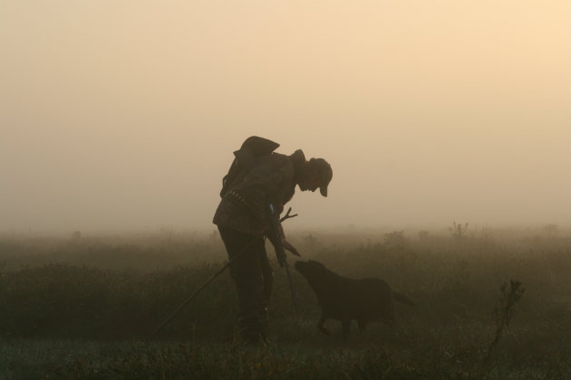 Wildfowler with dog