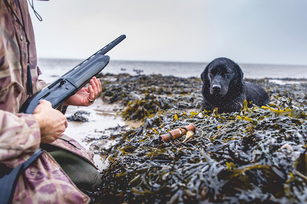 fixed-barrelled guns wildfowling
