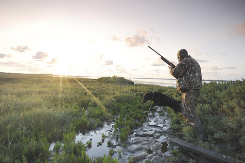 Wildfowling on a budget