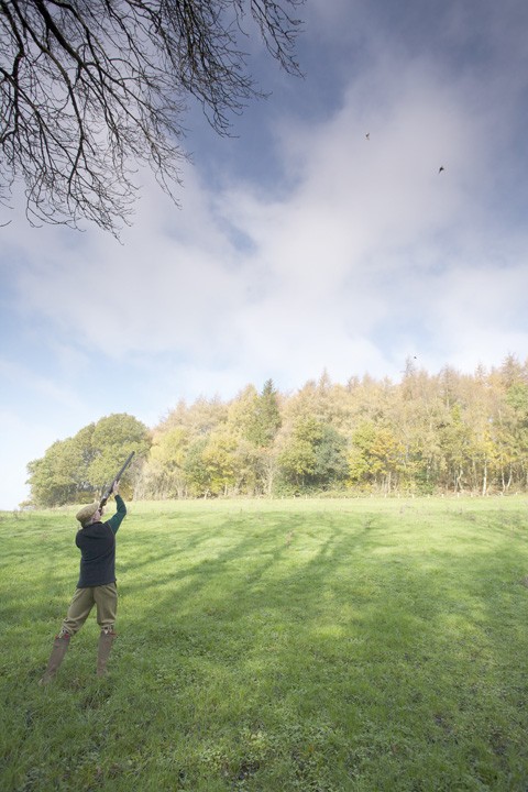 Pheasant shooting at Withyslade Farm, Wiltshire