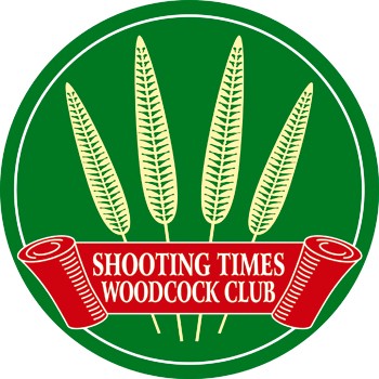 Woodcock ringing begins
