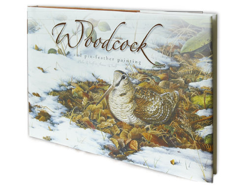 Woodcock artist offers prize draw in return for woodcock records